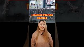 Download Lagu CIRI-CIRI RUMAH TERKENA SANTET/GUNA -GUNA #shorts #misteri #santet #penangkal #mitos #serem #primbon MP3