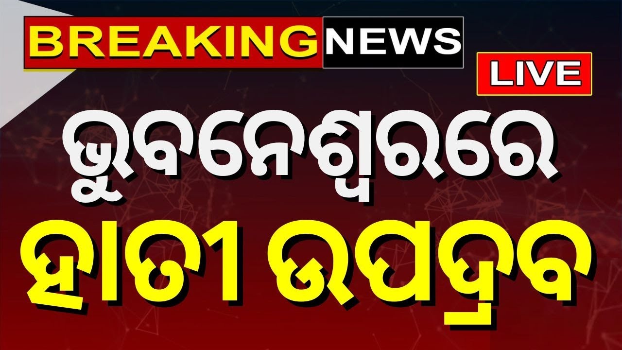 Bhubaneswar News Live: ଭୁବନେଶ୍ୱରରେ ହାତୀ ଉପଦ୍ରବ | Bhubaneswar Elephant Menace