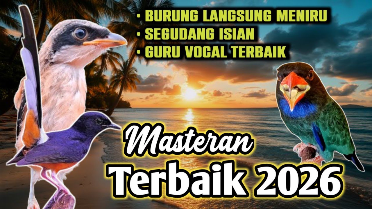 MASTERAN MURAI DAN CENDET DURASI PANJANG, Segudang Isian Burung Langsung Meniru