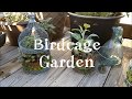 DIY Birdcage Garden