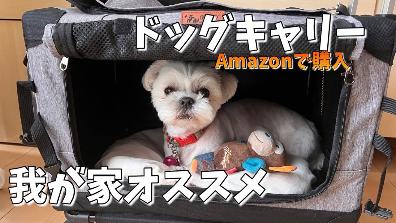 我が家が愛用しているドッグキャリーを紹介します🐶＃シーズー＃マル