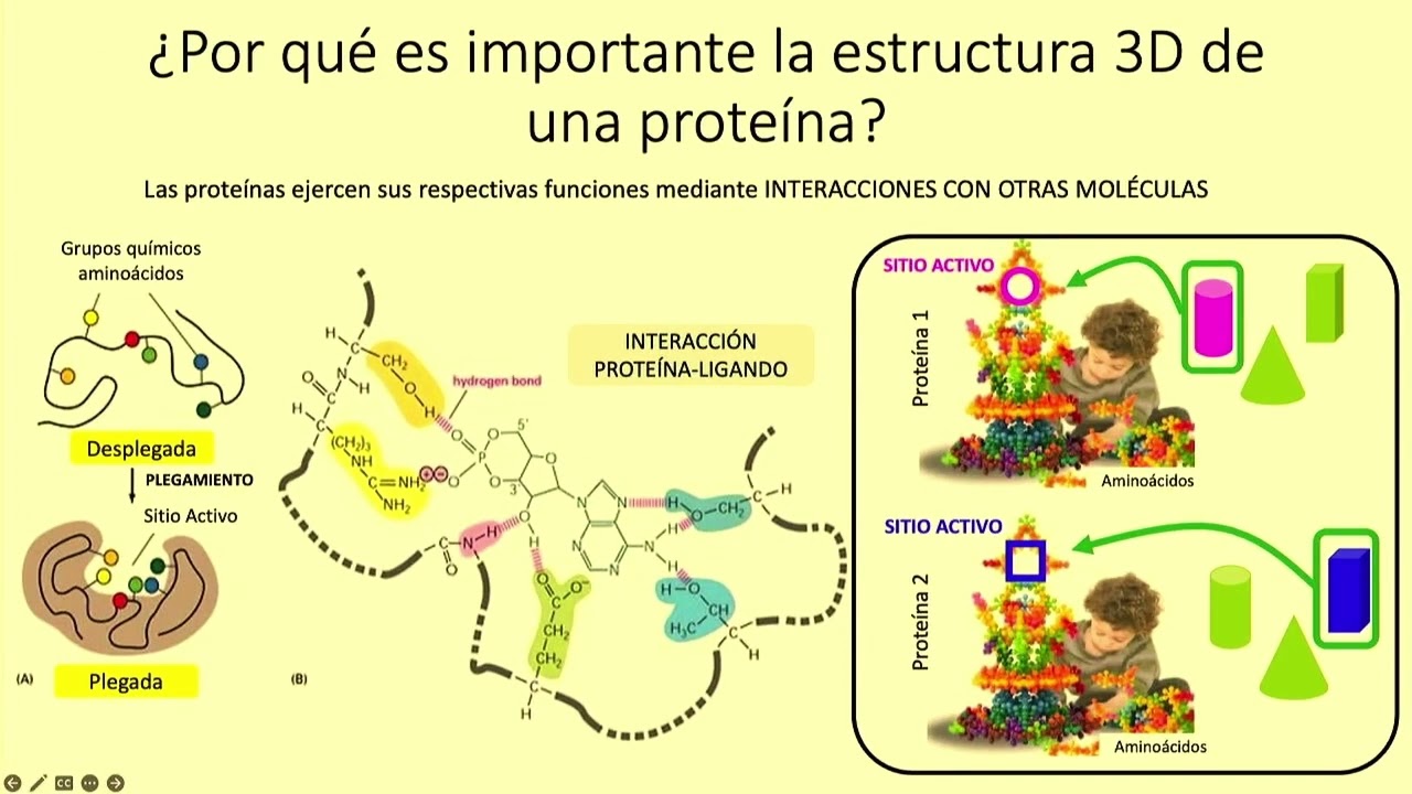 Charla de Jesús Angulo en Ciencia en Bulebar
