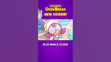 Blue Whale Cookie is here! 🐳