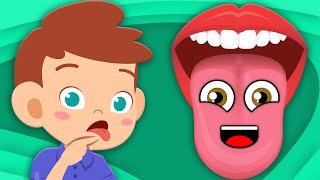 Learn How Your Tongue Works! | Human Body Songs For Kids | KLT Anatomy