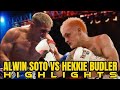 Alwin soto vs hekkie budler fight highlights