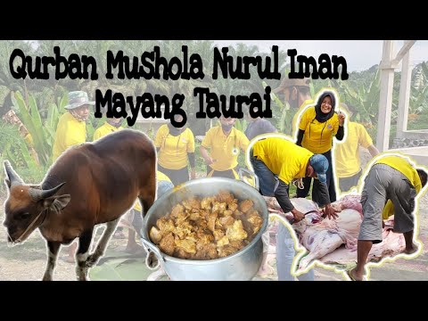 Qurban 1441 H Mayang Taurai