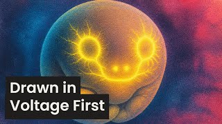 Ground Truth of How Voltage Draws Your Body Before Your Genes Wake Up