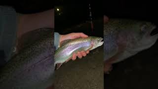 Sunrise Trout Fishing in Massachusetts (Stocked Rainbow Trout) #shorts