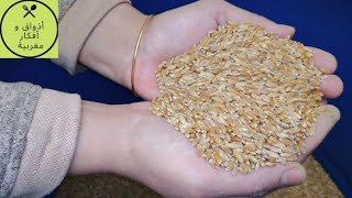 طريقة تخزين القمح بطريقة طبيعية ومضمونة لعدة سنوات 🌟🌟🌟🌟🌟ادعمونا باللايك و الاشتراك لتعم الفائدة 🌹🌹🌹🌹