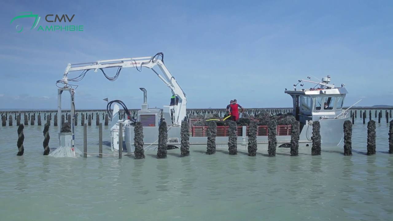 CMV Amphibie / IO III