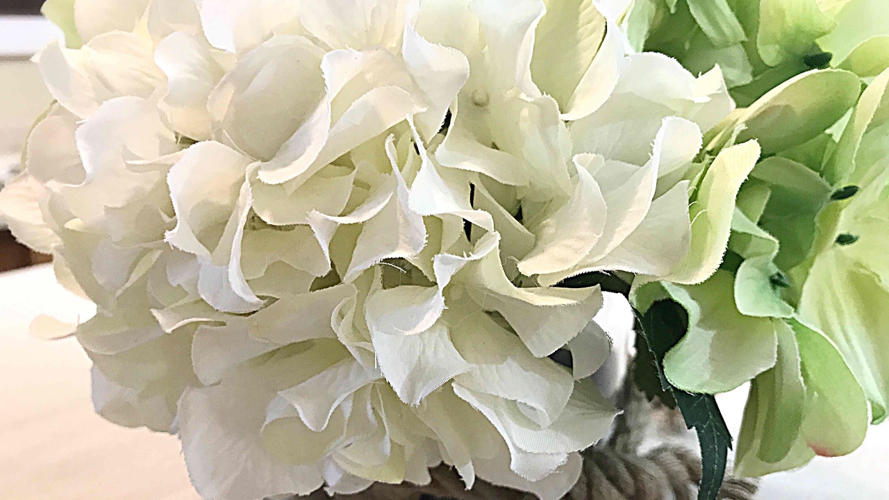 Pink NUOBESTY 2pcs Artificial Hydrangea Flowers Silk Hydrangea Flower Bouquets Faux Hydrangea Stems for Wedding Table Centerpieces Valentines Day Pink NUOBESTY 2pcs Artificial Hydrangea Flowers Silk Hydrangea Flower Bouquets Faux Hydrangea Stems for Wedding Table Centerpieces Valentines Day
