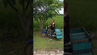 Download Lagu Selalu  bahagia bersama sepada bututnya MP3