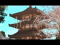 🌿⛰️ HUGE Japanese Pagoda | Sakura Forest 日本の塔 🌸 -BLOXBURG- ⛰️🌿