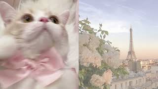 °☆ 𝚂𝚘𝚏𝚝 𝚓𝚊𝚠 𝚕𝚒𝚗𝚎☆🌸 °.🫶🏻🤍⋆☾ ⋆  ✧ | 𝚜𝚞𝚋𝚕𝚒𝚖𝚒𝚗𝚊𝚕 screenshot 2