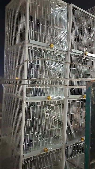 cages #birds #cage #birdcages #pigeon #cages #petcages #lovebirds