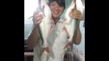 Hội câu cá Anh em miệt vườn