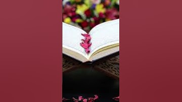 سورة الرحمن للقارئ حسام الدين عبادي #راحة_نفسية