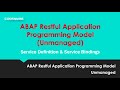 Part 3 unmanaged abap restful application programming model rap  custom api class