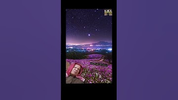 سبحان الذي خلق الأزواج كلها -سورةيس #وليد_الفلوجي