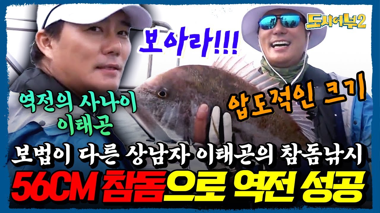 상남자 이태곤이 해냈다! 56cm 참돔으로 전세 역전🎣 황금뱃지를 건 낚시 대전의 진짜 사나이🔥 도시어부2 역대급 한판 | 도시어부2 33회