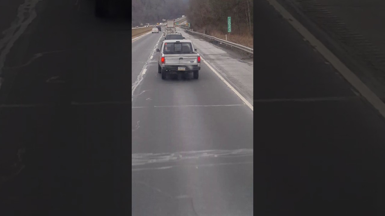 Dog tracking much!!!!!!! YouTube