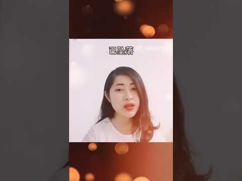 Singergy声力君- Jeslyn 【昨夜星辰】林淑容