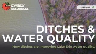 Ditches Lend a Helping Hand with Water Quality