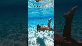 Swimming with Sharks in Bora Bora, French Polynesia ??