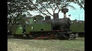 Pagottan Green Lutters. East Java, Indonesia