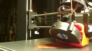 Timelapse: MMSV_Nicolas_Cage_Litho.gcode