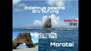Indahnya Pesona Aru Burung Batu Coffe Pulau Rao Morotai