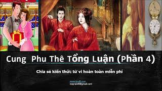 Cung Phu Thê Tổng Luận ( Phần 4)