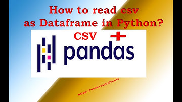 How to read csv as Dataframe in Python?