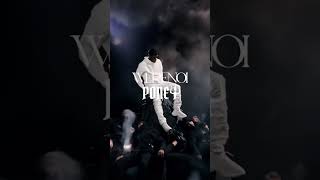 Werenoi Poney Visualizer