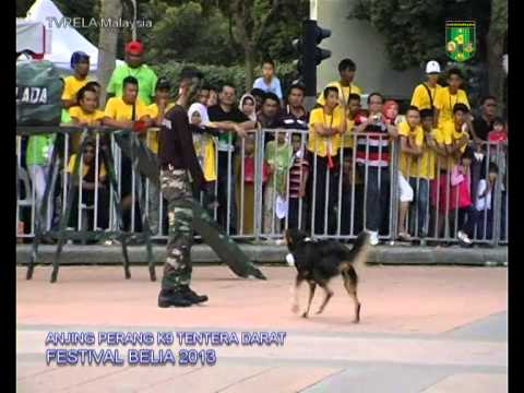 K9 Tentera Darat Youtube