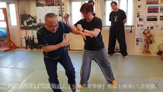 【推敲太極拳】【20200104(04)】楊太第二段 連續踹腿