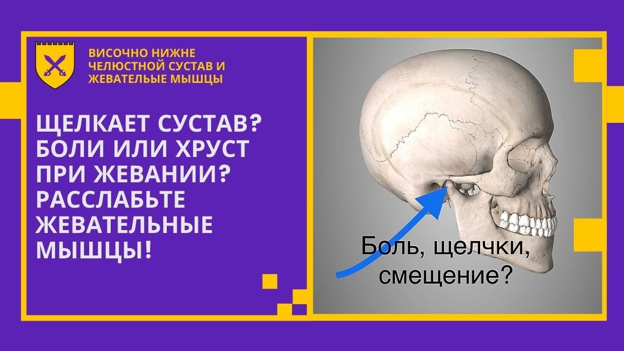 расслабление жевательных мышц лица. как расслабить жевательные мышцы челюсти. жевательные мышцы лица гипертонус массаж. упражнения для расслабления жевательных мышц лица. как расслабить жевательные мышцы челюсти.
