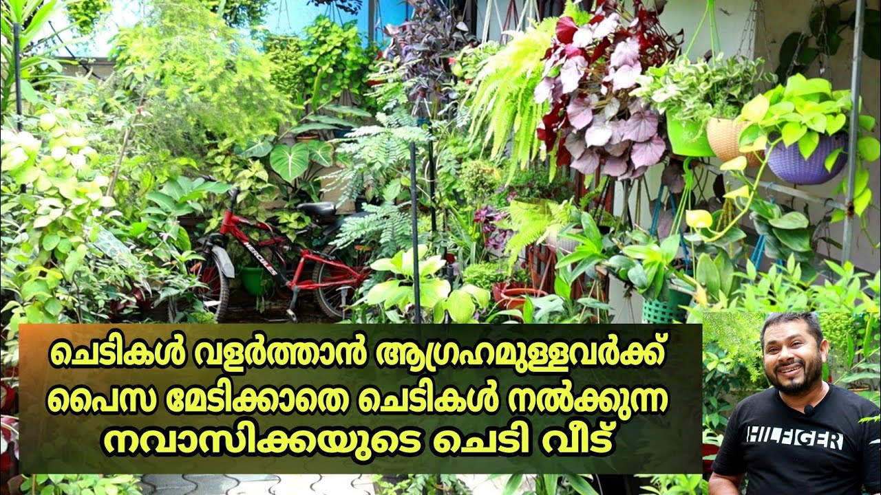 ആലപ്പുഴയിലെ ഒരു പ്രവാസിയുടെ  ചെടിയുടെ വിശേഷങ്ങൾ || Garden Tour ||  Malayalam || Farm Stories