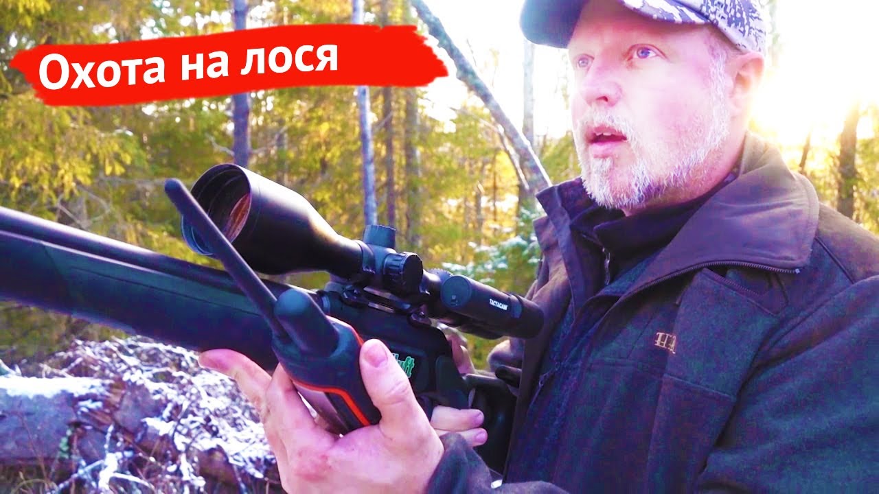 Отпугиватель лосей на автомобиль