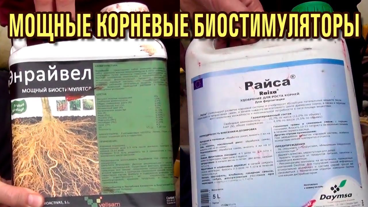 Мощные корневые биостимуляторы Райса и Энрайвелл. Супер урожай!