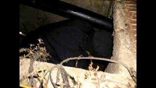 extreme geocaching
