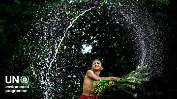 Nature driving economic transformation #unga #sdgs
