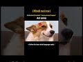 Atla untadhi manathoni 🤣 #comedyreels #trending #viral #hindilanguage
