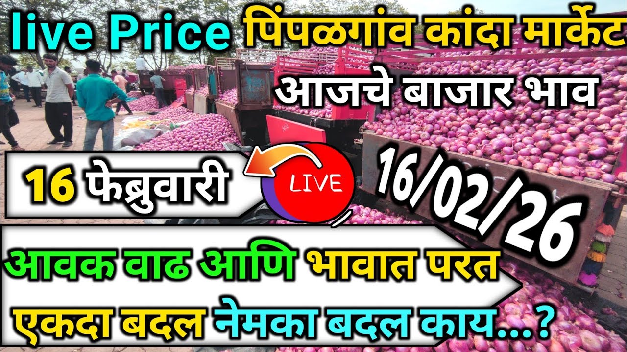 Pimpalgaon Onion Market Price Today:Latest Rates And Insights 16 February 2025