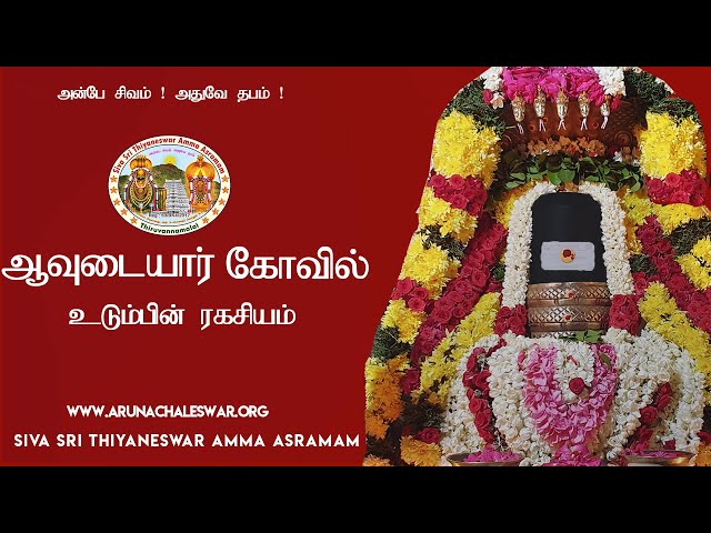 ஆவுடையார்கோவில் உடும்பின் ரகசியம் | Secrets of Avudaiyar Temple Udumbu