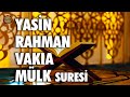 Yasin rahman vaka mlk suresi tebareke  shamil gadzhiev