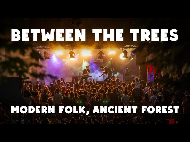 Between the Trees Festival