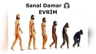 Evrim Teorisi nedir mecaz anlamda dinleyelim 🎧