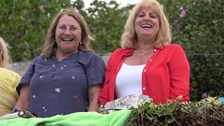 H F 25 anos nas Amoreiras