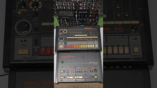 Roland CSQ-600 & Roland Tr-808 Same body??? #808 #roland
